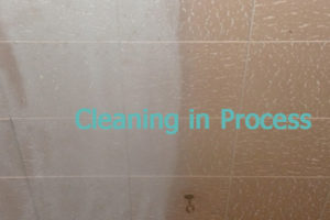 ceiling-cleaning-example